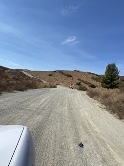 Enlarge photo 21