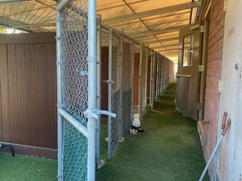 Simi Valley Animal Shelter