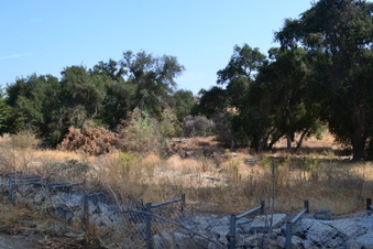 Enlarge photo 14