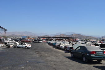 Enlarge photo 28