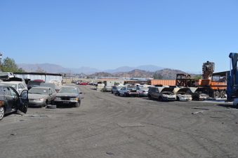 Enlarge photo 35