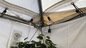 Enlarge photo 37