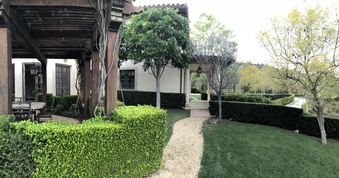 Enlarge photo 67