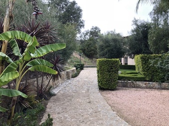 Enlarge photo 75