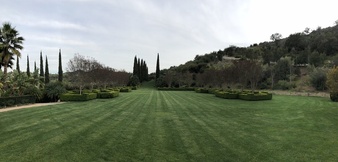Enlarge photo 79