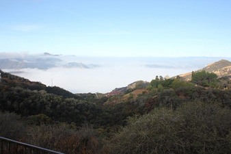 Enlarge photo 59