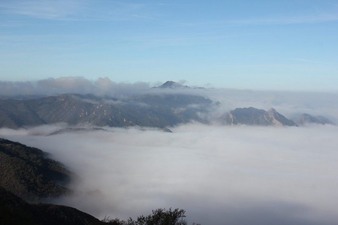 Enlarge photo 62