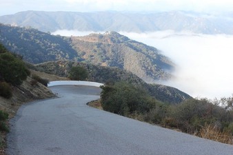 Enlarge photo 63