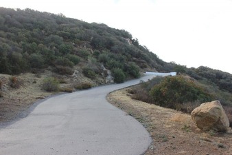 Enlarge photo 66