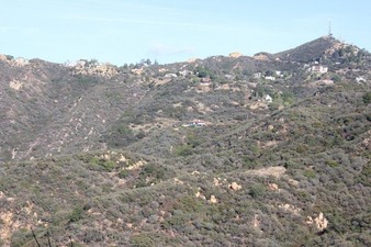 Enlarge photo 67