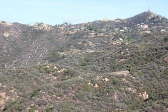 Enlarge photo 68