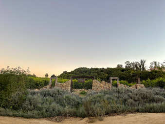 Enlarge photo 112