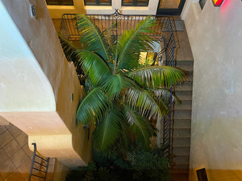 Enlarge photo 37