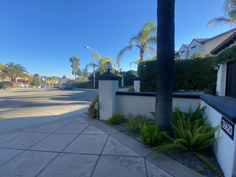 Enlarge photo 83