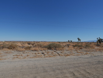 Enlarge photo 7