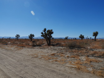 Enlarge photo 17