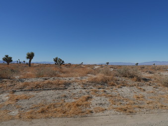 Enlarge photo 18