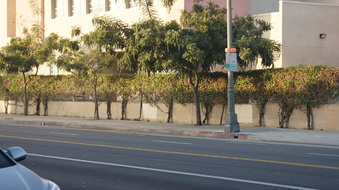 Enlarge photo 29