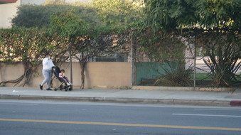 Enlarge photo 30