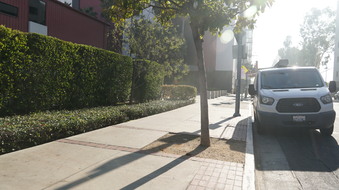 Enlarge photo 16