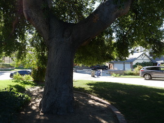 Enlarge photo 11