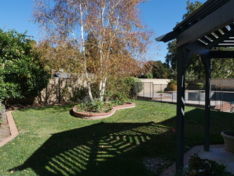 Enlarge photo 21