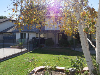 Enlarge photo 26