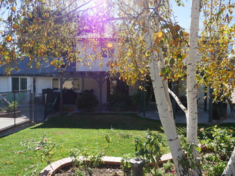 Enlarge photo 27