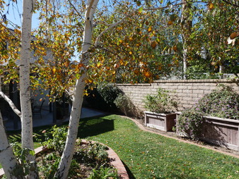 Enlarge photo 28