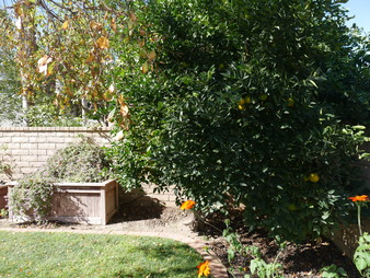 Enlarge photo 29