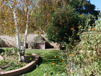 Enlarge photo 30
