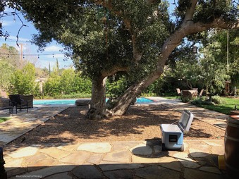 Enlarge photo 12