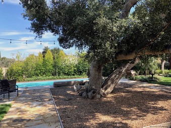 Enlarge photo 18