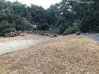 Enlarge photo 2