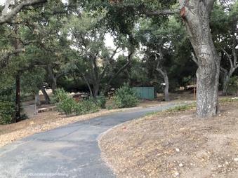 Enlarge photo 3