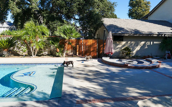 Enlarge photo 16