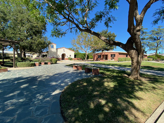 Enlarge photo 92