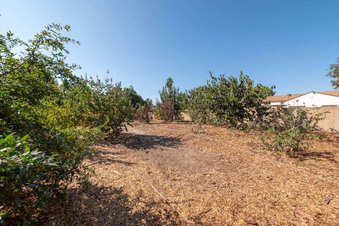 Enlarge photo 87