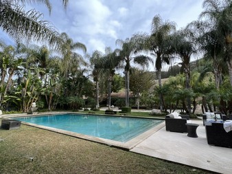 Enlarge photo 43