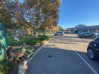 Enlarge photo 36