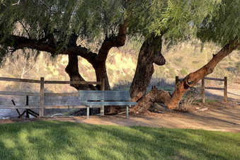Enlarge photo 7