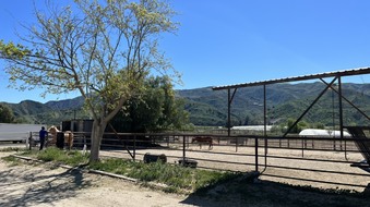 Enlarge photo 109
