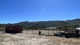 Enlarge photo 49