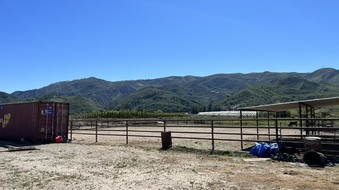 Enlarge photo 48