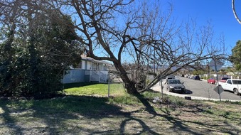 Enlarge photo 11