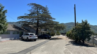 Enlarge photo 112