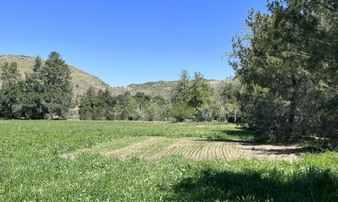 Enlarge photo 7