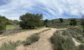 Whitney Canon Park 3