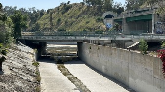 Enlarge photo 25