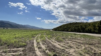 Enlarge photo 8